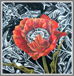 Luci Coles Poppy